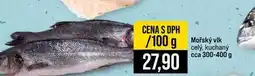 Jip Mořský vlk celý, kuchaný cca nabídka