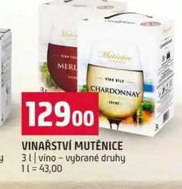 Terno VINAŘSTVÍ MUTĚNICE 3l vino vybrané druhy nabídka