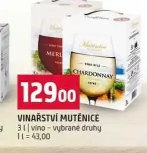 Terno VINAŘSTVÍ MUTĚNICE 3l vino vybrané druhy nabídka