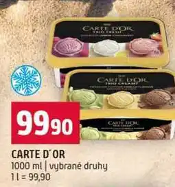 Terno CARTE D'OR 1000 ml vybrané druhy nabídka