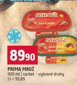 Terno PRIMA MROŽ 900 ml sorbet vybrané druhy nabídka
