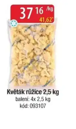 Qanto Květák růžice nabídka