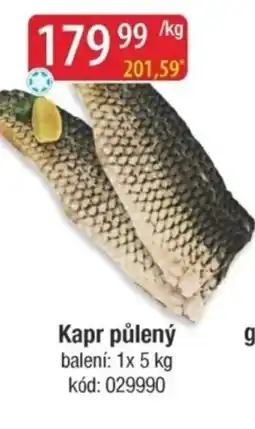 Qanto Kapr půlený nabídka