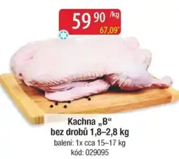 Qanto Kachna „,B" bez drobů nabídka