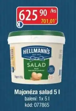 Qanto HELLMANN'S Majonéza salad nabídka