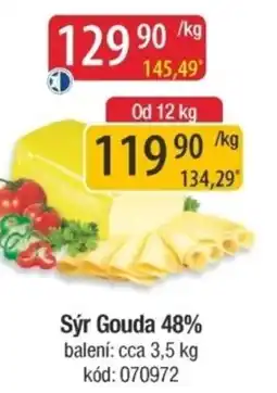 Qanto Sýr Gouda 48% nabídka