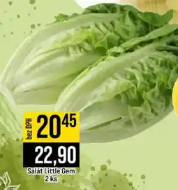 Jip Salát Little Gem nabídka