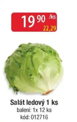 Qanto Salát ledový nabídka
