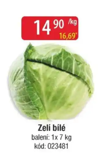 Qanto Zelí bílé nabídka