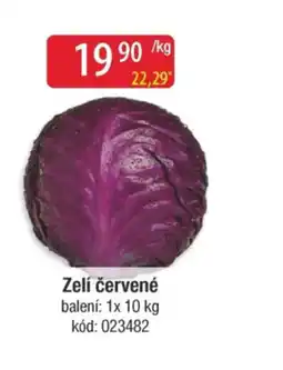 Qanto Zelí červené nabídka