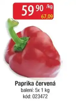 Qanto Paprika červená nabídka
