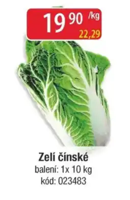 Qanto Zelí čínské nabídka