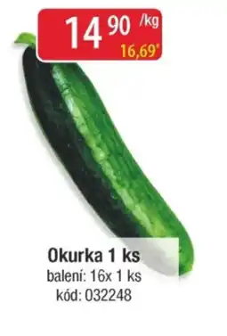 Qanto Okurka nabídka