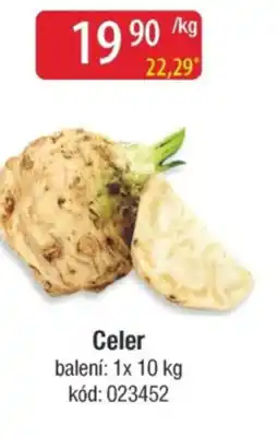 Qanto Celer nabídka
