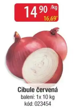 Qanto Cibule červená nabídka