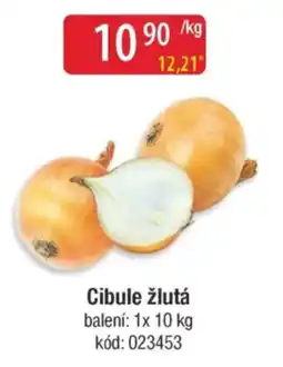 Qanto Cibule žlutá nabídka