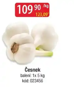 Qanto Česnek nabídka