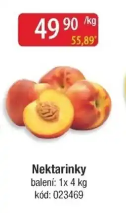 Qanto Nektarinky nabídka