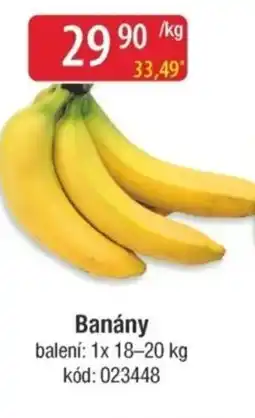 Qanto Banány nabídka