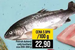 Jip Pstruh duhový nabídka