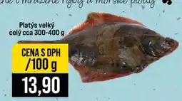 Jip PLATÝS VELKÝ nabídka