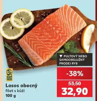 Kaufland LOSOS OBECNÝ nabídka