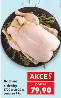 Kaufland KACHNA S DROBY nabídka