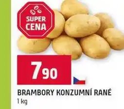 Terno BRAMBORY KONZUMNÍ RANÉ nabídka