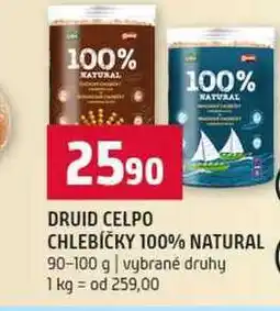 Terno DRUID CELPO CHLEBÍČKY 100% NATURAL 90-100 g vybrané druhy nabídka