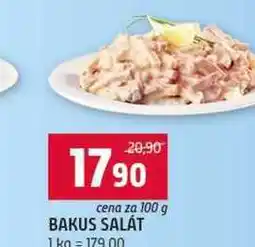 Terno BAKUS SALÁT nabídka
