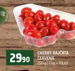 Terno CHERRY RAJČATA ČERVENÁ nabídka