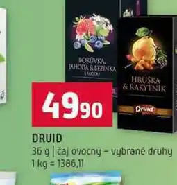 Terno Druid 36 g čaj ovocný vybrané druhy nabídka