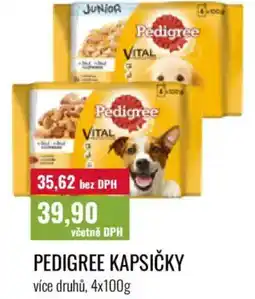 Ratio Pedigree kapsičky nabídka