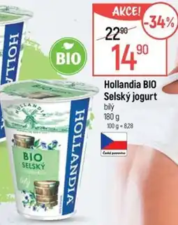 Globus Hollandia BIO Selský jogurt nabídka