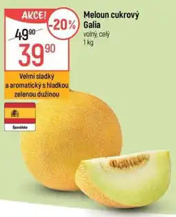 Globus Meloun cukrový Galia nabídka