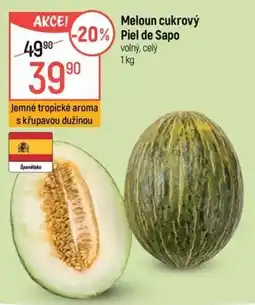 Globus Meloun cukrový Piel de Sapo nabídka