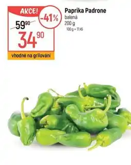 Globus Paprika Padrone nabídka
