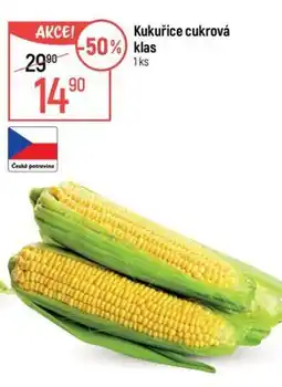 Globus Kukuřice cukrová klas nabídka