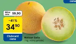 Tesco Meloun Galia nabídka
