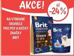 Globus Na vybrané granule pro psy a kočky značky Brit nabídka