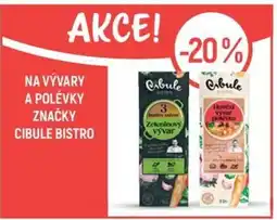 Globus Na vývary a polévky značky Cibule bistro nabídka