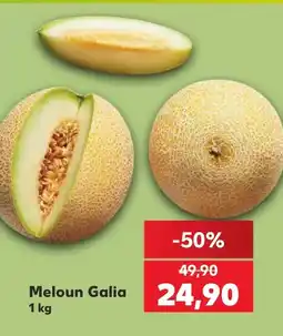 Kaufland Meloun Galia nabídka