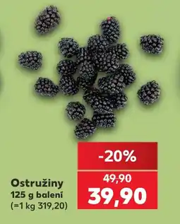 Kaufland Ostružiny nabídka