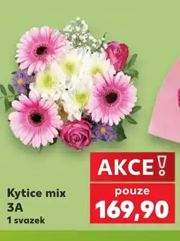 Kaufland Kytice mix 3A nabídka