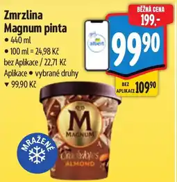 Albert Zmrzlina Magnum pinta nabídka