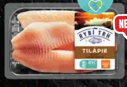 Albert Tilápie - filet nabídka