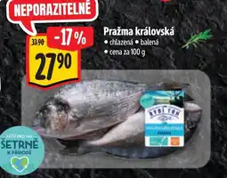 Albert Pražma královská nabídka