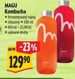 Albert MAGU Kombucha nabídka
