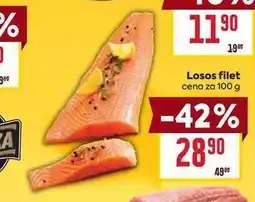 Billa Losos filet cena za nabídka