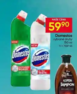 Hruška Domestos vybrané druhy nabídka